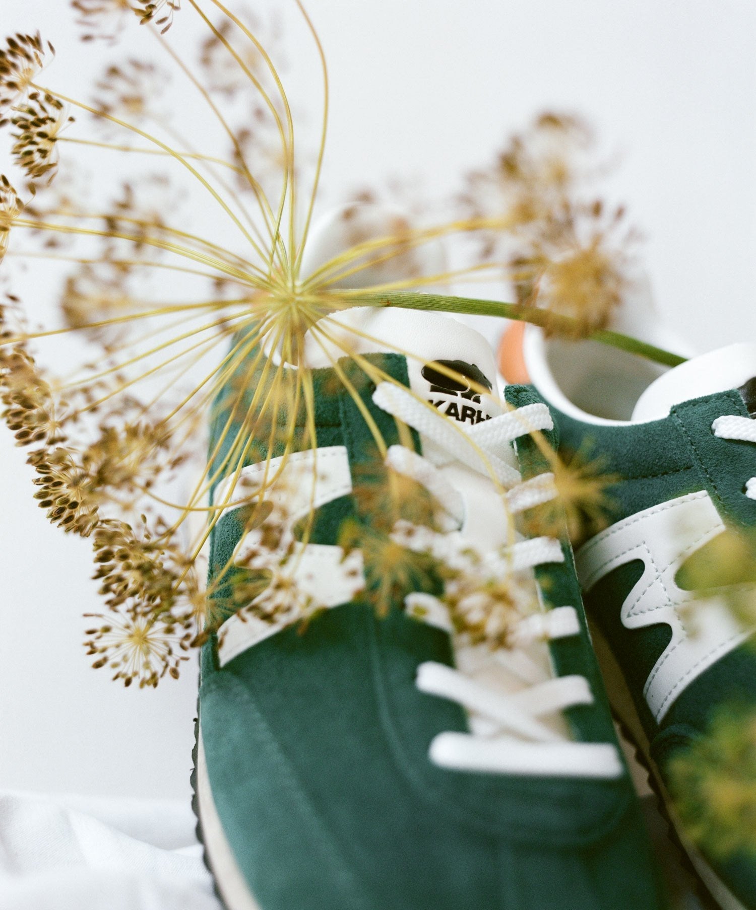 MESTARI - POSY GREEN / WHITE - Karhu Nederland